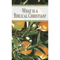 What is a Biblical Christian?