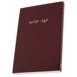 Persian New Testament TBS Version